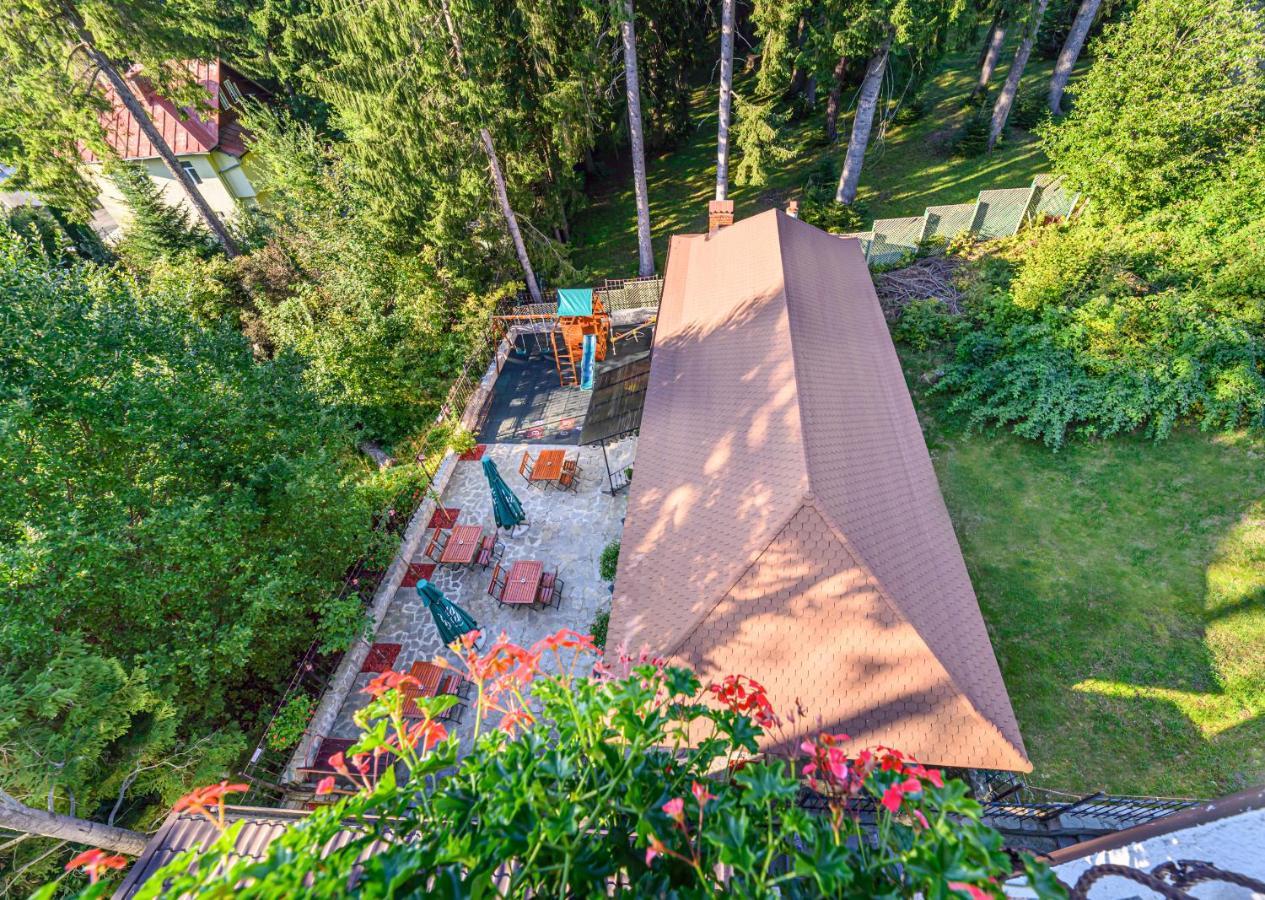 Pensiunea Hilltop Predeal Buitenkant foto