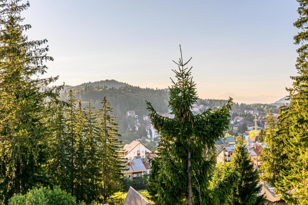 Pensiunea Hilltop Predeal Buitenkant foto