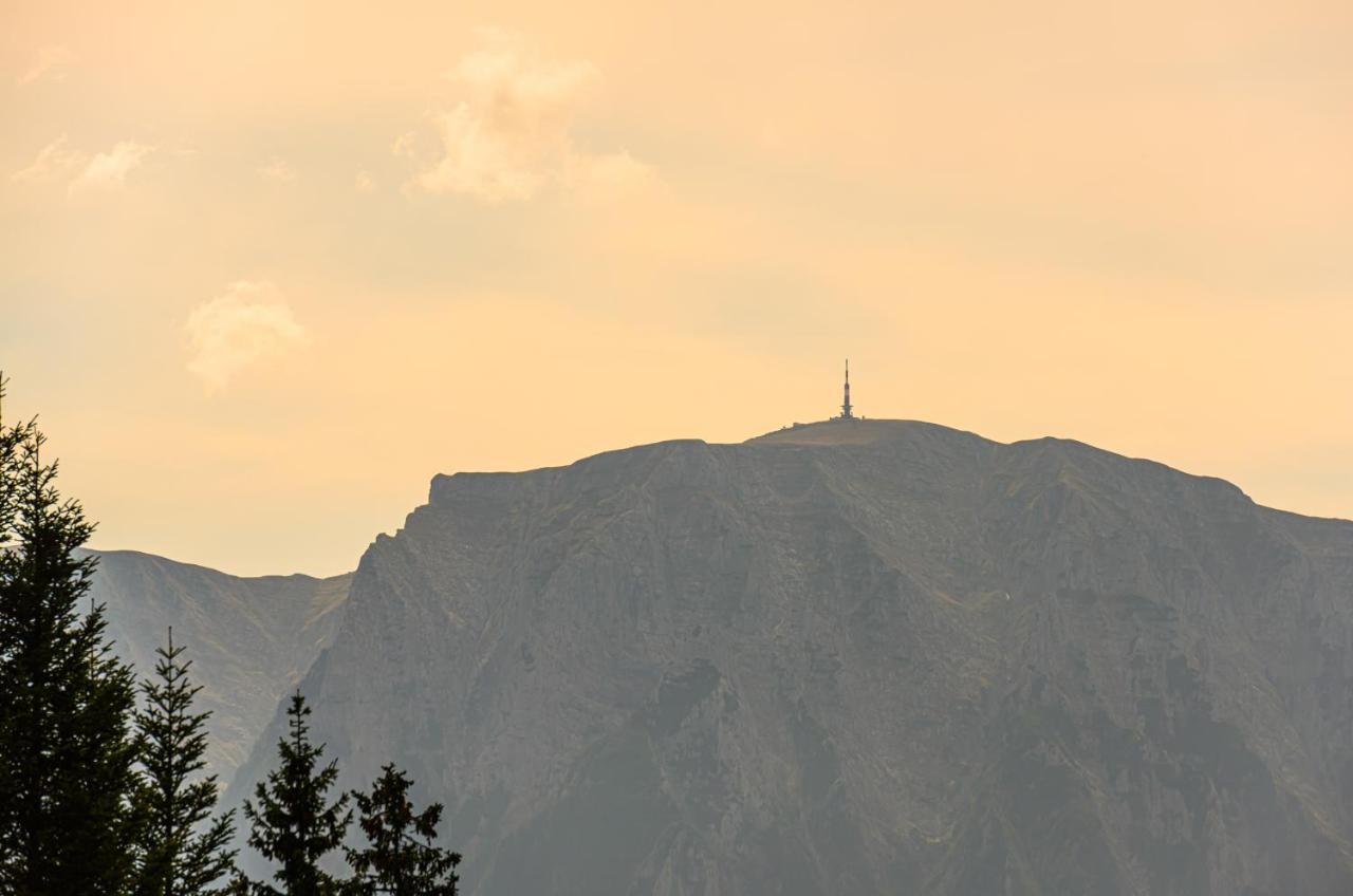 Pensiunea Hilltop Predeal Buitenkant foto