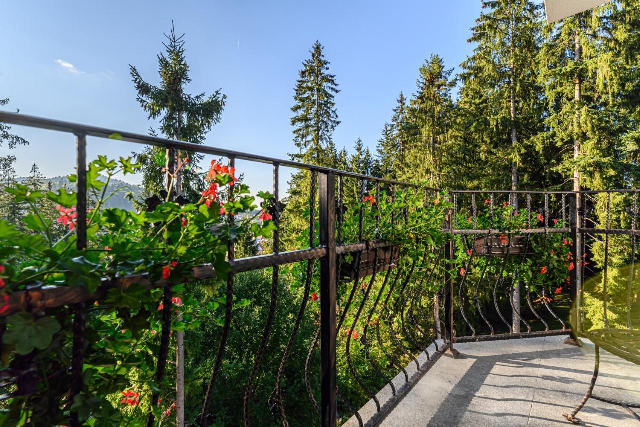 Pensiunea Hilltop Predeal Buitenkant foto