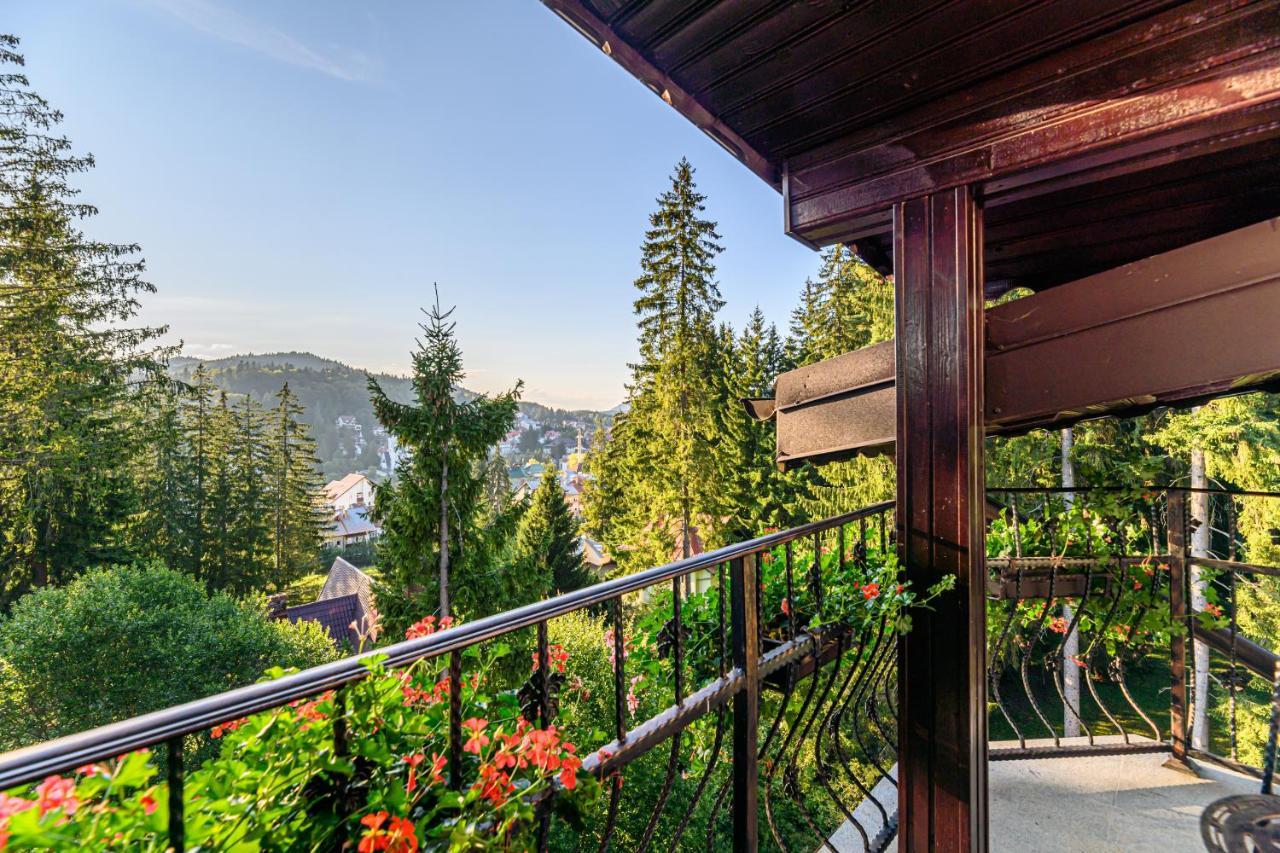 Pensiunea Hilltop Predeal Buitenkant foto